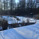 Owocowa Chojnata Mszczonów