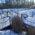 Owocowa Chojnata Apartament *