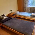 Owocowa Chojnata *