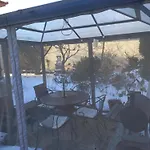 Owocowa Chojnata Mszczonów