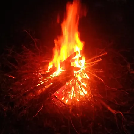 Owocowa Chojnata * Mszczonów