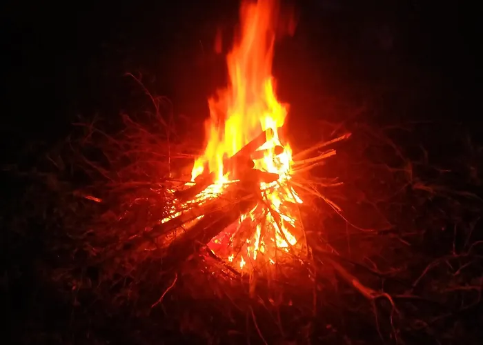 Owocowa Chojnata * Mszczonów