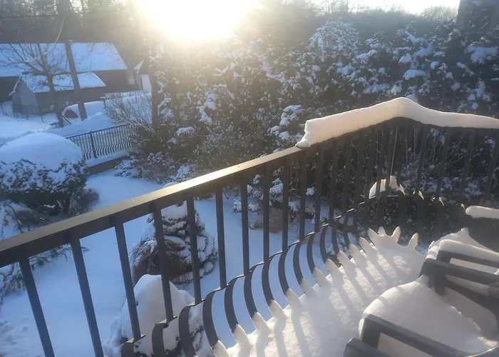 Owocowa Chojnata Mszczonów