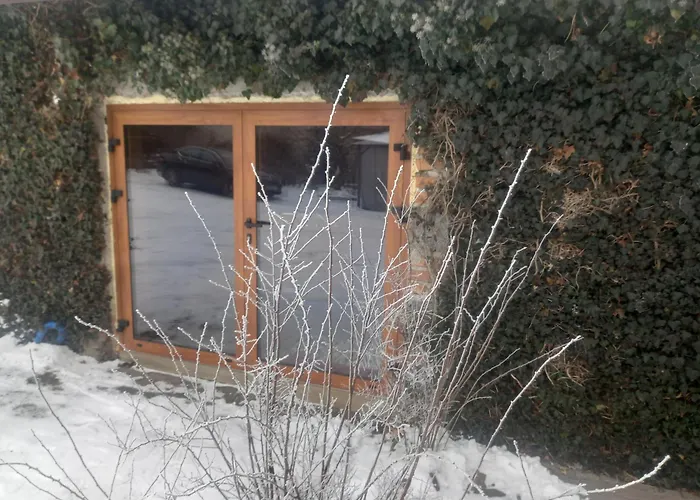 Owocowa Chojnata شقة Mszczonów