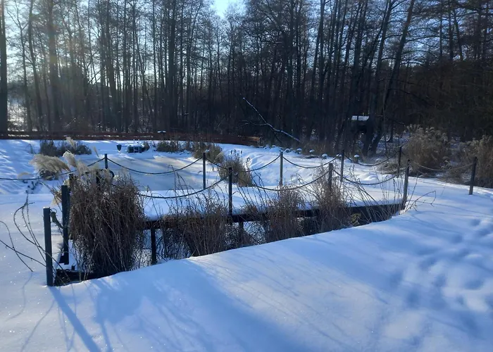 Owocowa Chojnata Mszczonów